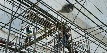 Tim memasang penutup greenhouse dari scaffolding